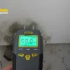 Who Should Test Your Home for Mold, and Why