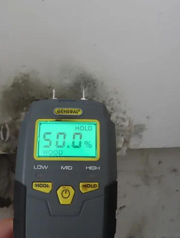 Who Should Test Your Home for Mold, and Why